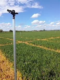 Cereals Seeder